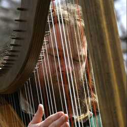 Matthew H Schwarz, folk harpist, profile image