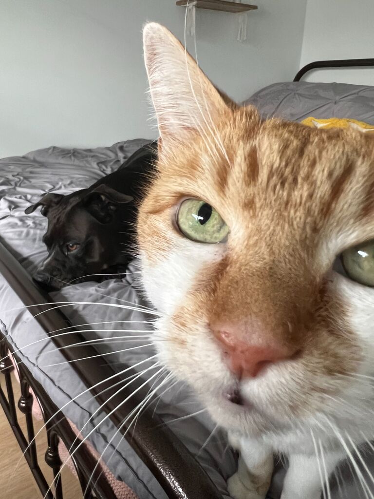 Jackson and Lucca are officially, reluctantly, brothers forever.