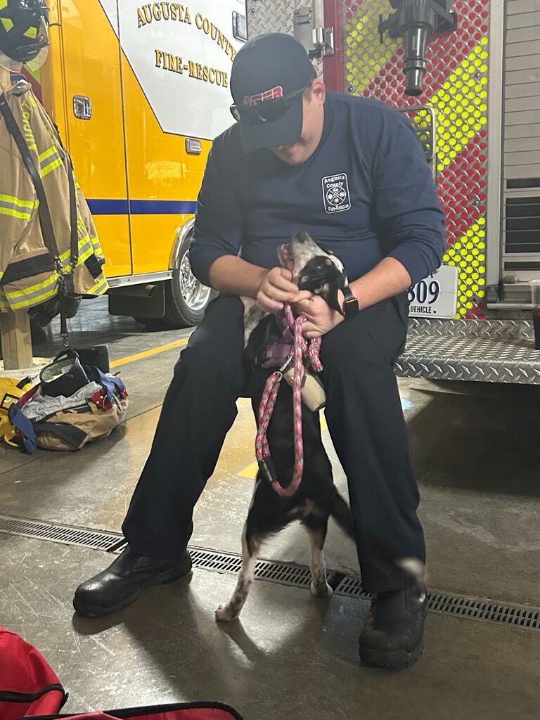 Dilly visiting Dad at work.