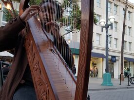 Amirah Fox - Harpist - San Jacinto, CA - Hero Gallery 4