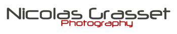 Vendor Logo