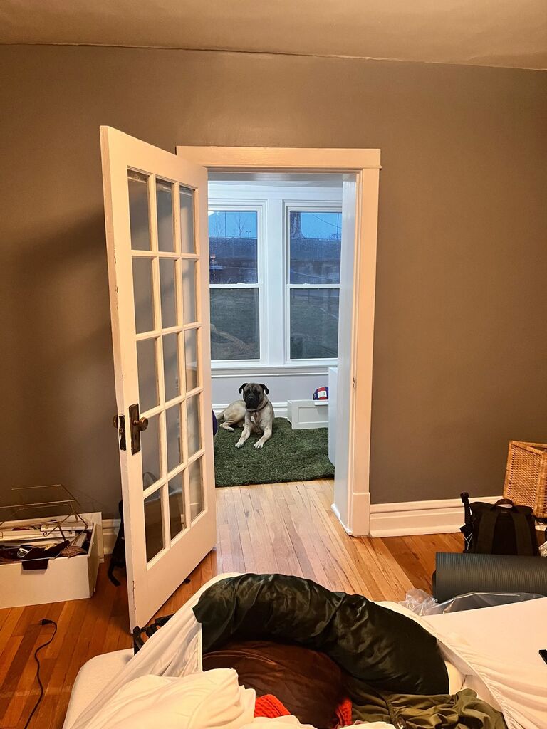 Corey and Alissa found a home in February of 2023 in the lovely old Dogtown neighborhood. Most of all they were so grateful to be able to give their fur baby a backyard! This is where the couple and doggo still happily reside creating new memories everyday and night.