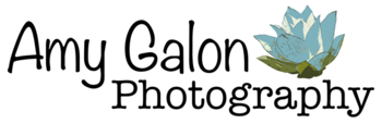 Vendor Logo