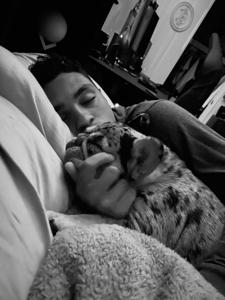 Our favorite thing to do; cuddle with our babies in bed 