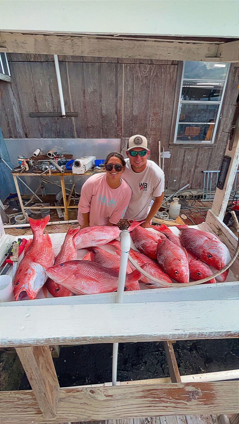 Snapper Season