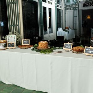 Gallery Photo 247