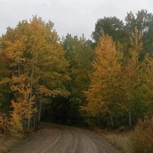 Gallery Photo 63