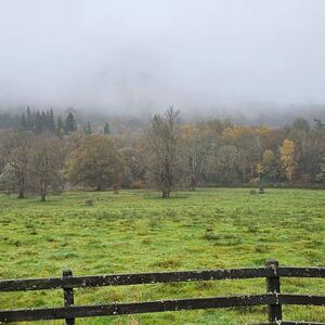 Gallery Photo 192