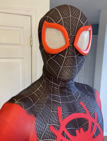 Metro DC Spider-Man Entertainer - Costumed Character - Bristow, VA - Hero Main