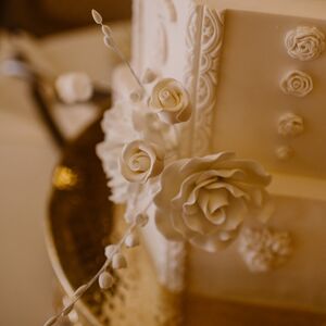Gallery Photo 374
