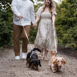 Gallery Photo 4