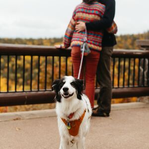 Gallery Photo 33