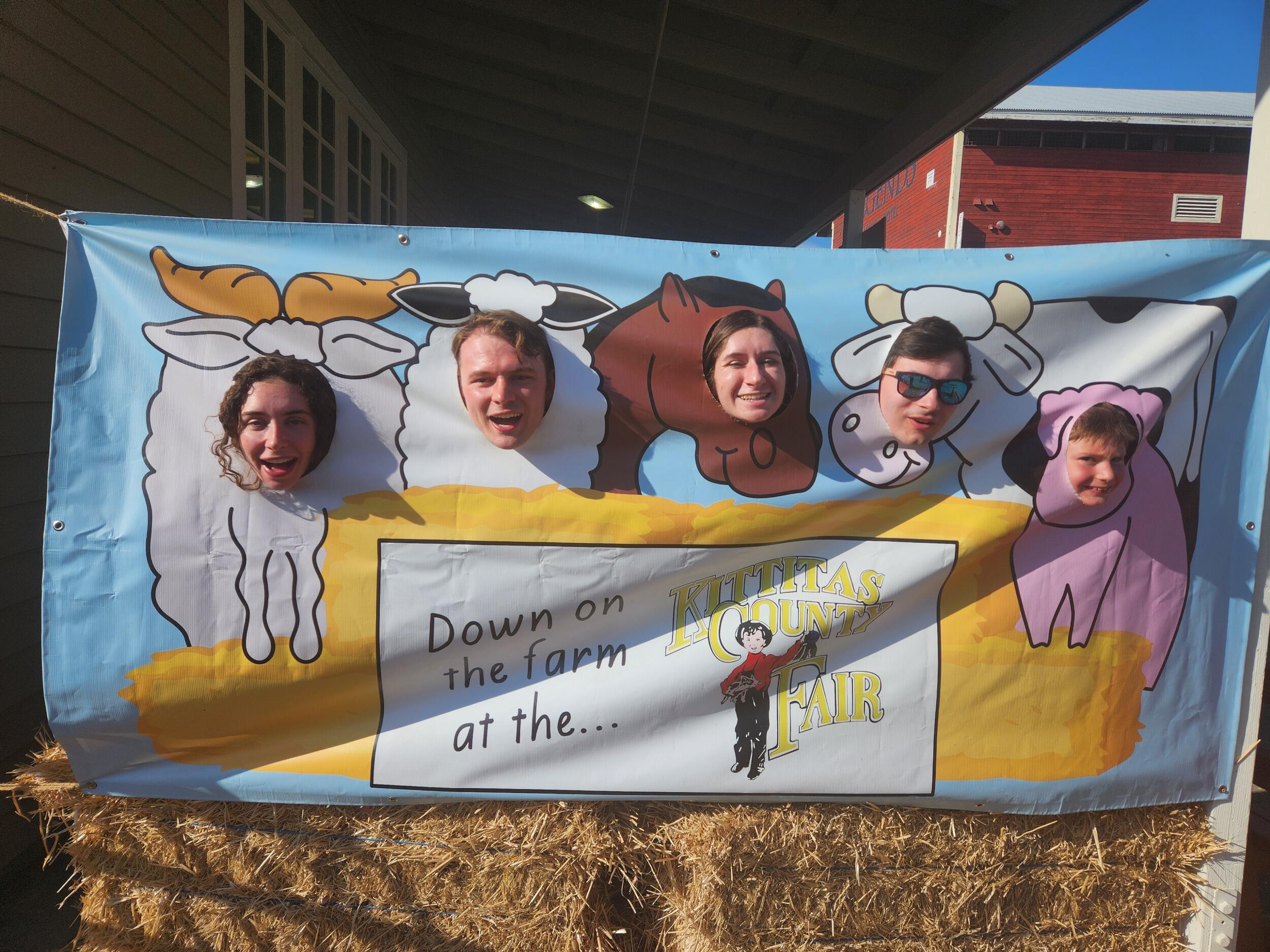 It was in fact our first rodeo!