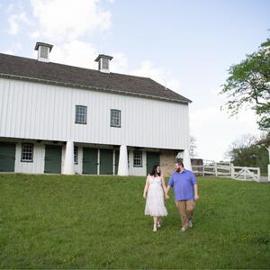 Gallery Photo 14