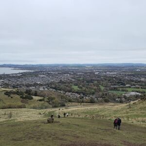 Gallery Photo 356