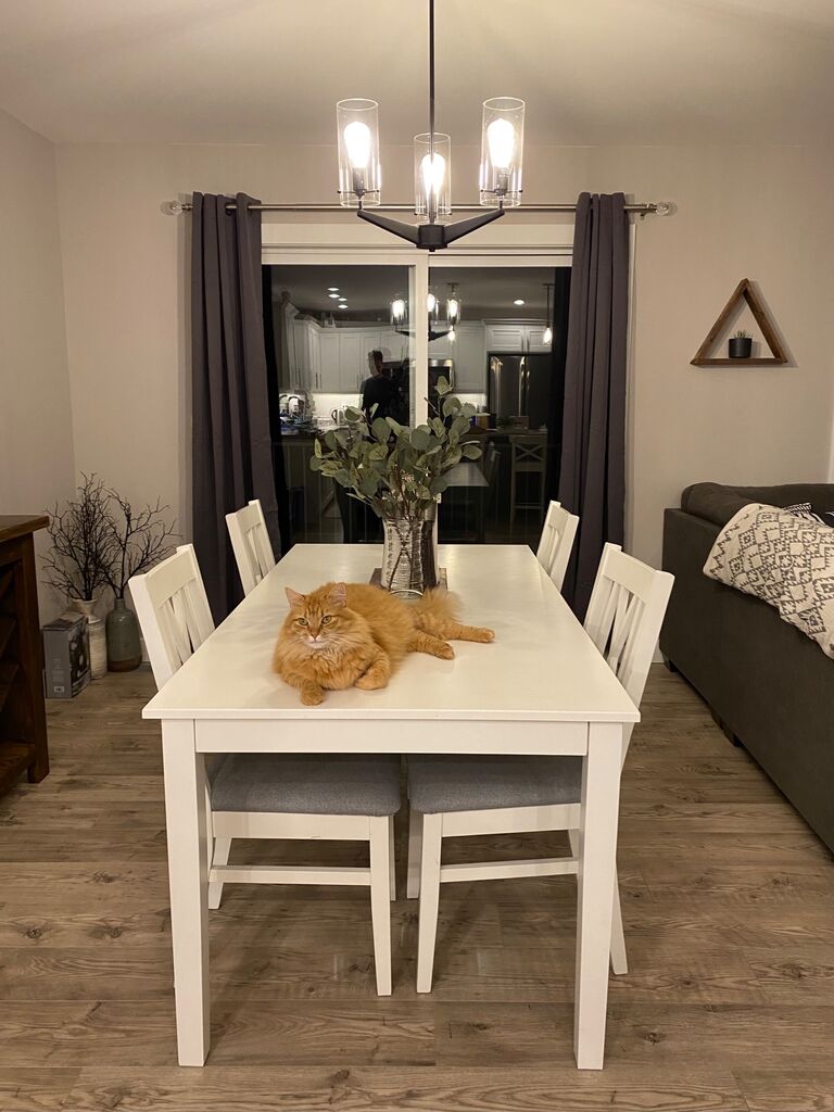 Moved in together!
