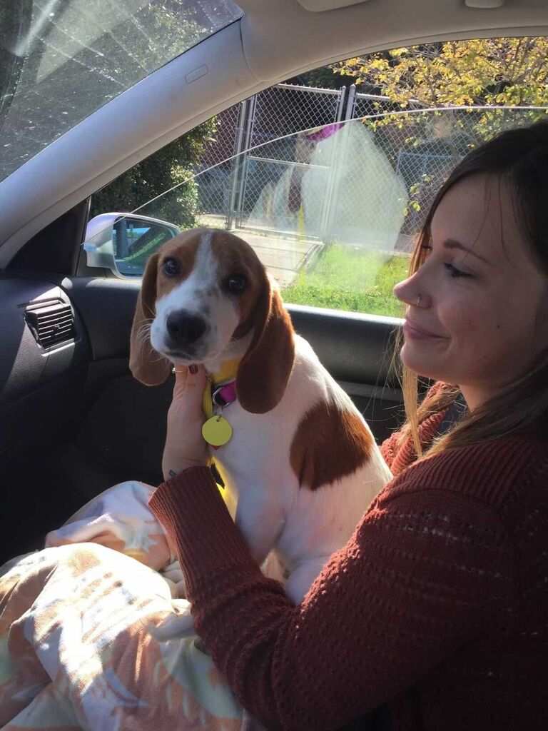 We adopted our baby Folie Brisket <3 