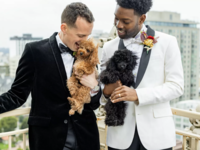 Two Grooms in Different Black and White Tuxedos Snuggle Their Dogs Overlooking San Francisco