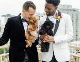 Two Grooms in Different Black and White Tuxedos Snuggle Their Dogs Overlooking San Francisco