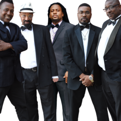 The Beale St All-Star Band, profile image