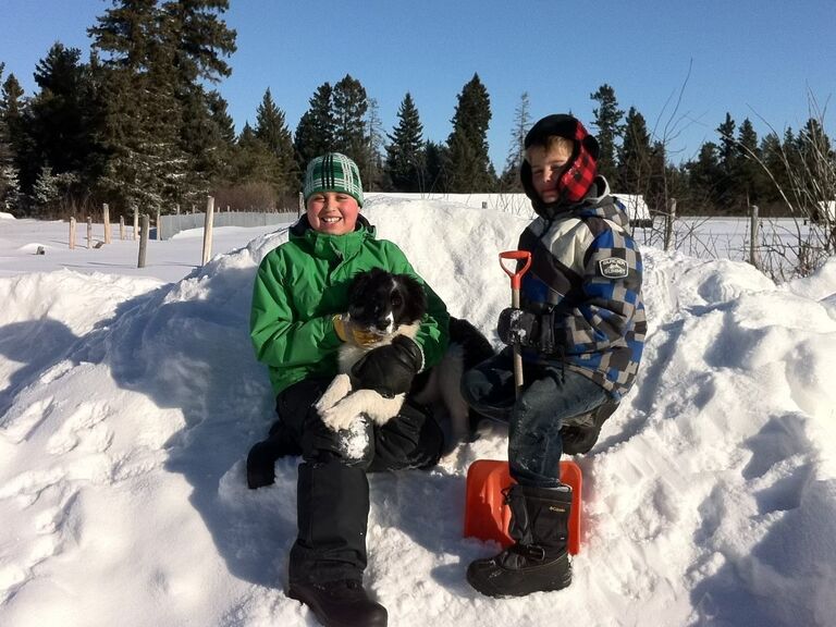 Charlie the dog joined Matthew and his little brother Jason for the building of many snow forts in the ranch at Victoria Beach.
