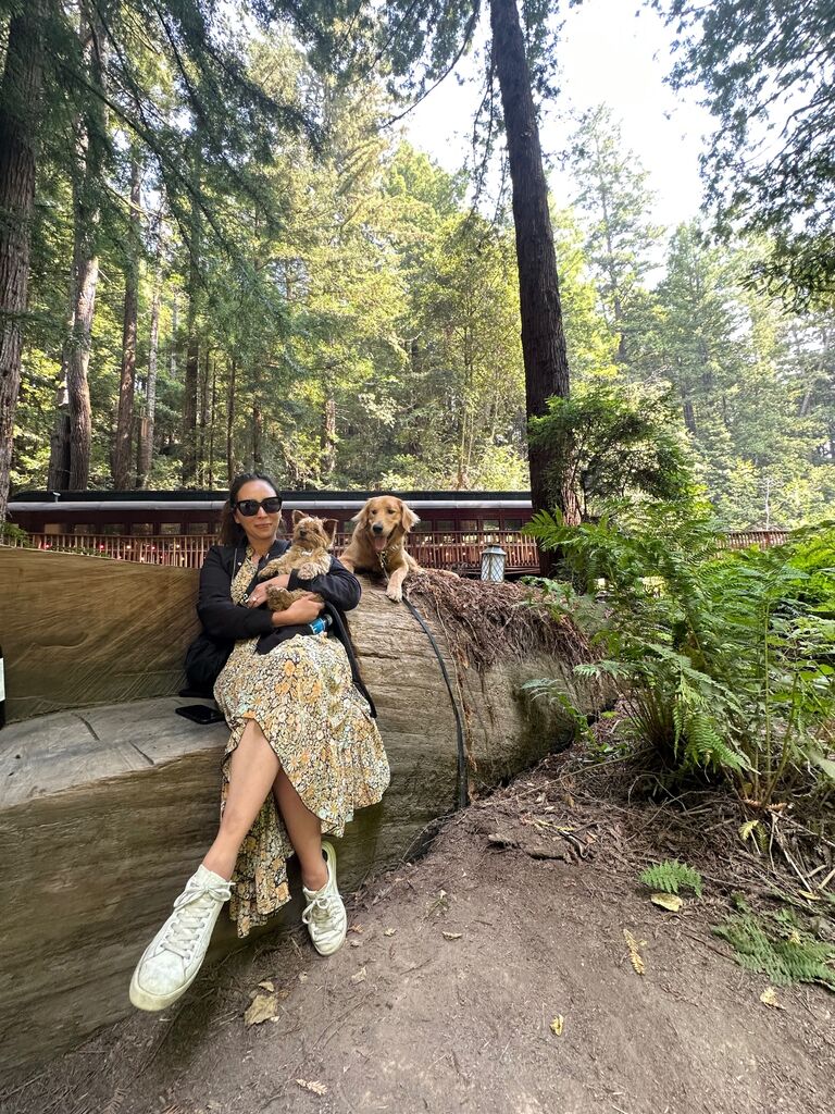 And took a lot of scenic NorCal road trips with the pups.