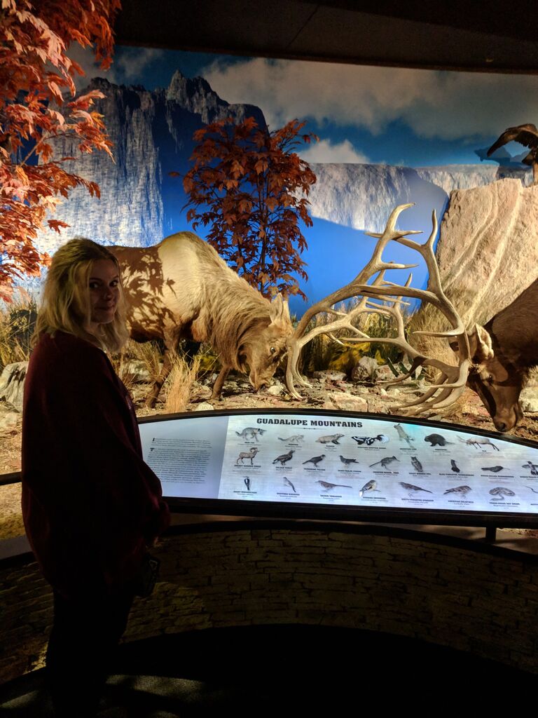  Museum of Natural Science, Houston, TX