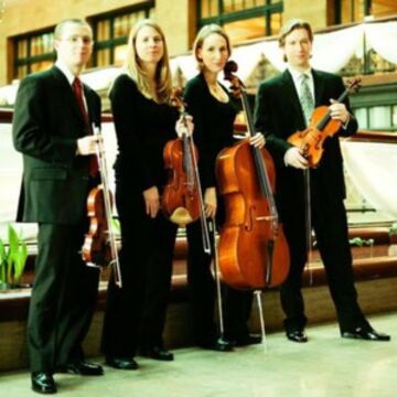 Calla String Quartet - String Quartet - Saint Paul, MN - Hero Main
