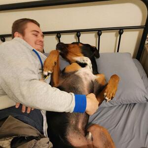 Gallery Photo 42