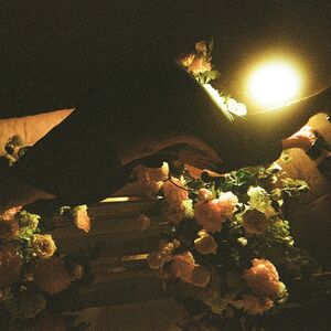 Gallery Photo 255