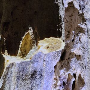 Gallery Photo 19