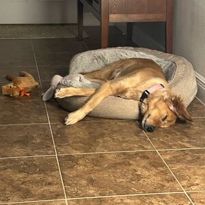 Gallery Photo 24