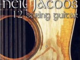 Neil Jacobs "World 12-String Guitar" - Guitarist - Grand Haven, MI - Hero Gallery 4