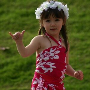 Gallery Photo 96