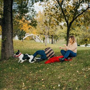 Gallery Photo 29
