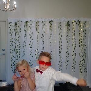 Gallery Photo 213