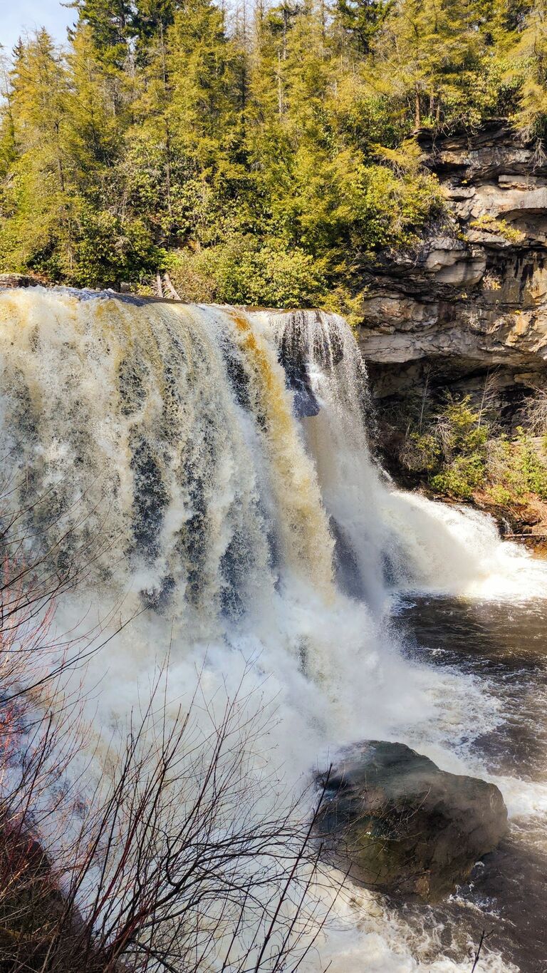 It all began in early April 2023 in the mountains of West Virginia- Blackwater Falls. A place with no cell service, where you're more likely to spot wildlife than people. Rachael was enjoying a solo hike, savoring the peaceful, scenic solitude. Scott, meanwhile, was in the area on military orders and had the day off to explore with his buddies (and yes, you can confirm this story with them at the wedding—they witnessed it!).