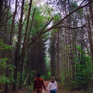 Gallery Photo 58