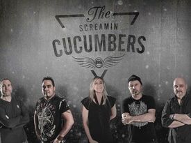 The Screamin' Cucumbers - Cover Band - Milwaukee, WI - Hero Gallery 1