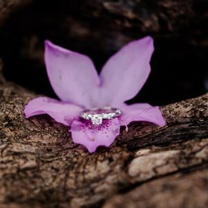 Gallery Photo 29