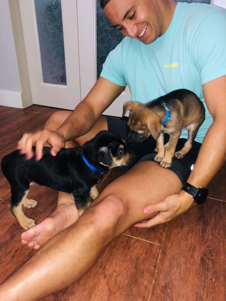 We became dog parents to Charlie and Cash, our Guam Boonies :)