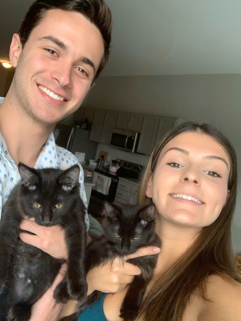 We moved into a 1-bed apartment in Grandview Heights and immediately add two kitties to the fam