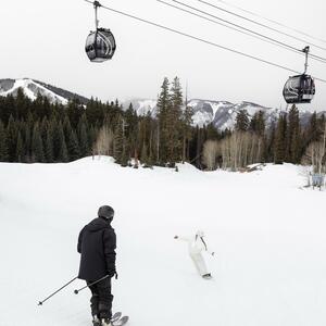 Gallery Photo 21