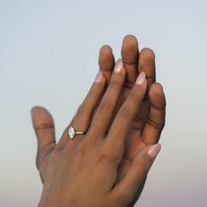 Gallery Photo 4