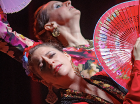 Flamencolía Dance Company - Flamenco Dancer - Toronto, ON - Hero Gallery 3