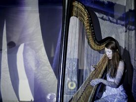 Jaclyn Harp - Harpist - Los Angeles, CA - Hero Gallery 1