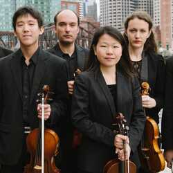Boston String Ensemble, profile image