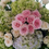 Kelley's Flowers Inc - Footer
