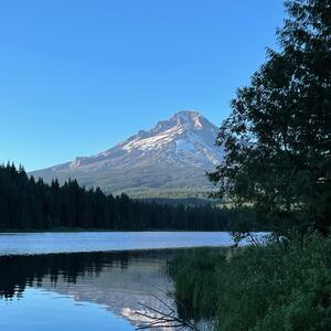 Gallery Photo 84