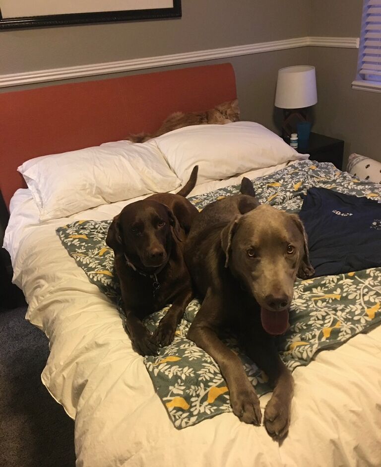 Scott needs ankle surgery, Dani relieves Oso's Grandpaw Phil of some Oso duty.  Oso and Mo become best friends. 